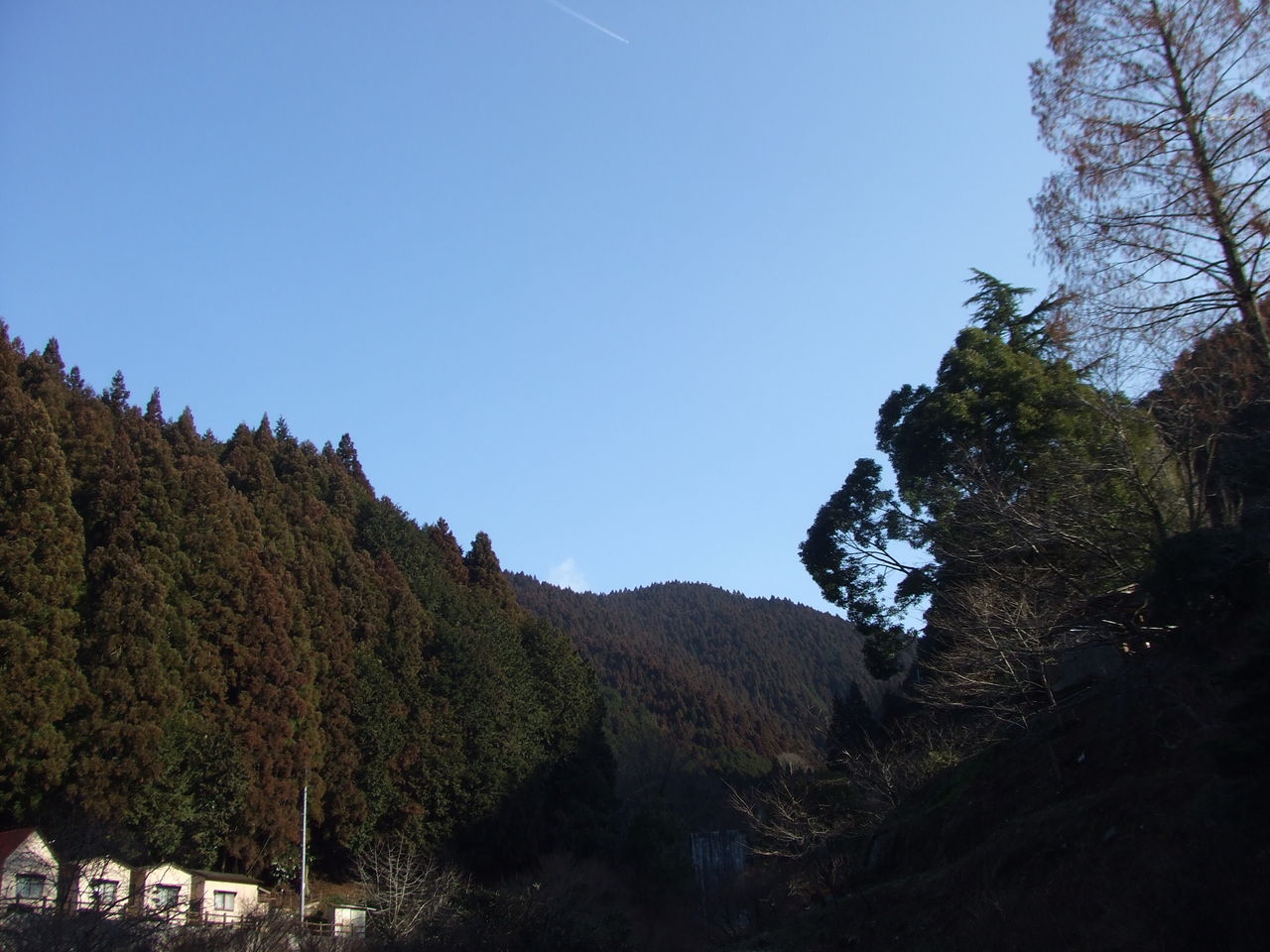 爺とキャピキャピ娘の不思議なデート In金剛山 15 2 27 爺と婆の山行録 爺とキャピキャピ娘の不思議なデート In金剛山 15 2 27 爺と婆の山行録