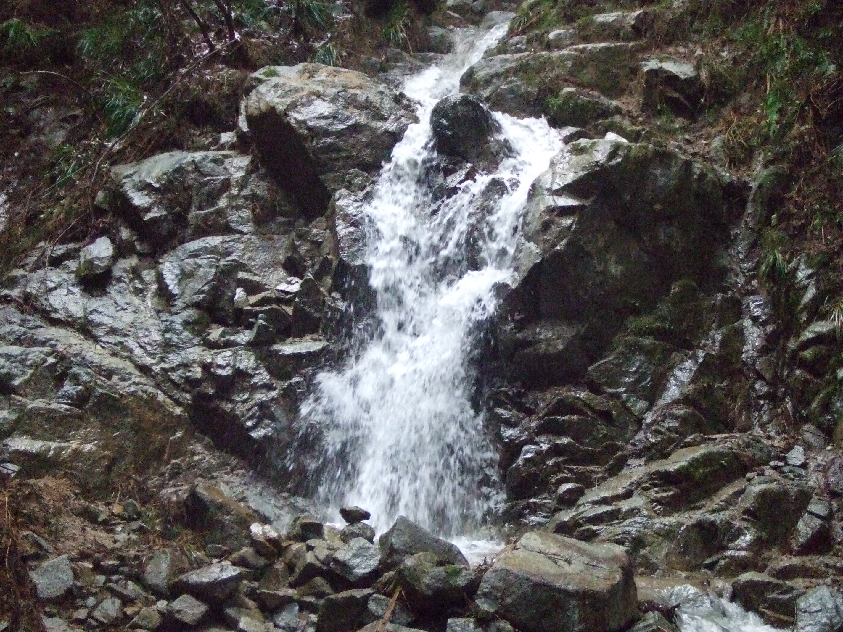 金剛山 えっ 霧氷 10 3 26 爺と婆の山行録