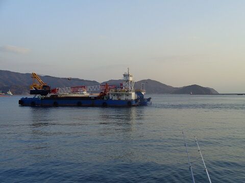 石鯛の歯の標本 じじいの海