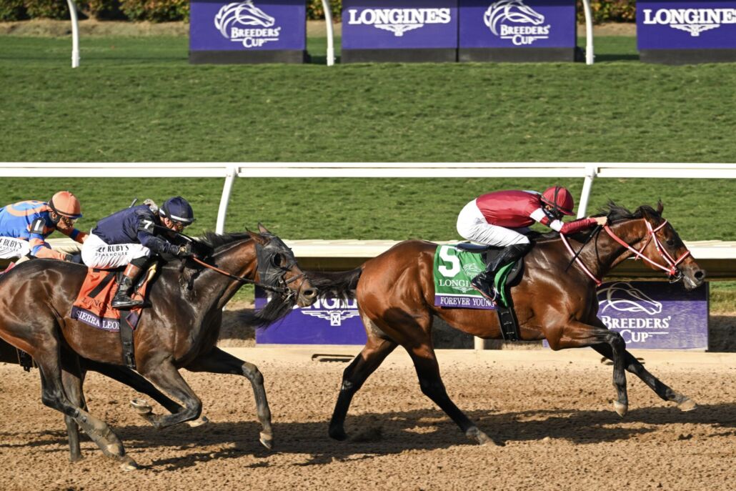 【競馬】フォーエバーヤング、強すぎてアメリカ競馬を破壊w