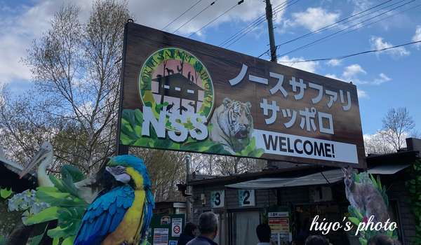 【危険】闇の動物園が閉園命令！20年間の謎とは？