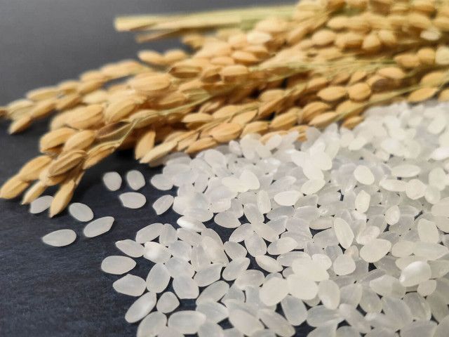 【農水省】米高騰の原因ヤバすぎｗ21万トン買い占め発覚！