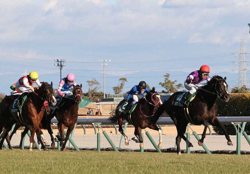 【競馬】武豊、9日間騎乗停止！その理由に驚きの声が・・・