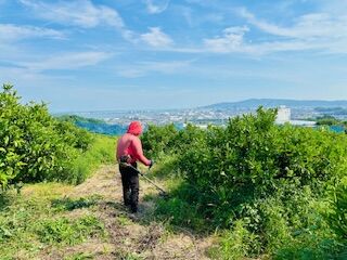 IMG_4980