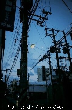 31①