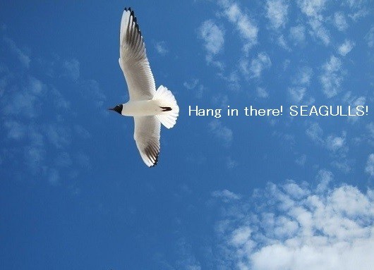 月夜のでんしんばしら Jikkakukanのブログ1414 いよいよhg イゴール 長友 松下兄弟 ヴォレアス