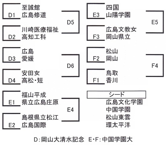 IMG (2)