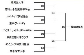 26④D新