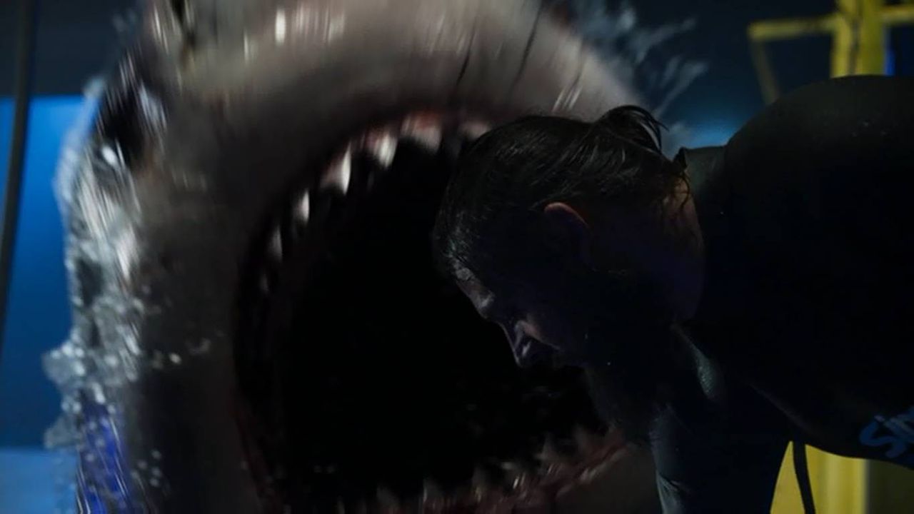 ディープ ブルー2 第一作 ディープ ブルー から19年が経過し しれっと映画製作していた続編はc級映画過ぎて日本未公開になっていました 燃えよ 映画論 ディープ ブルー2 第一作 ディープ ブルー から19年が経過し しれっと映画製作していた続編はc級映画過ぎて日本未公開になっていました 燃えよ 映画論