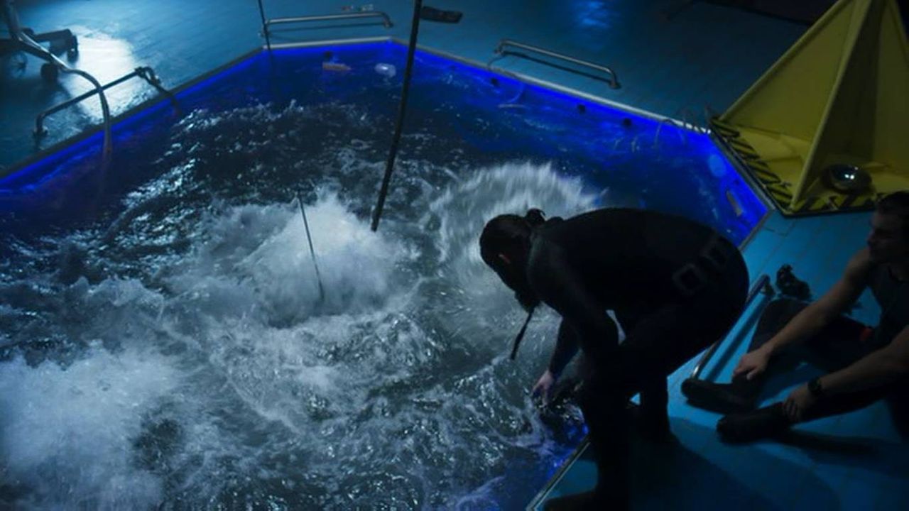 ディープ ブルー2 第一作 ディープ ブルー から19年が経過し しれっと映画製作していた続編はc級映画過ぎて日本未公開になっていました 燃えよ 映画論 ディープ ブルー2 第一作 ディープ ブルー から19年が経過し しれっと映画製作していた続編はc級映画過ぎて日本未公開になっていました 燃えよ 映画論