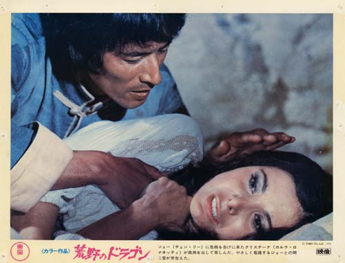 荒野のドラゴン インチキ西部劇ことイタリアで製作したマカロニウエスタンの中で繰り広げられるドラゴン カンフーアクション 何故か赤影 忍者も登場します 燃えよ 映画論