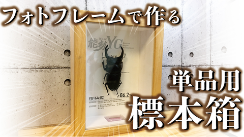 クワガタ自己満ラボ