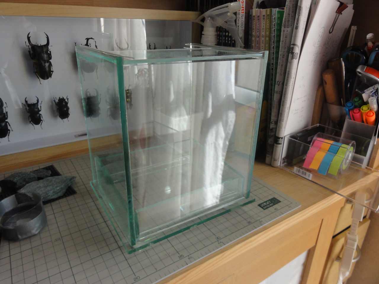 フジコンオールガラス飼育ケース クワリウム