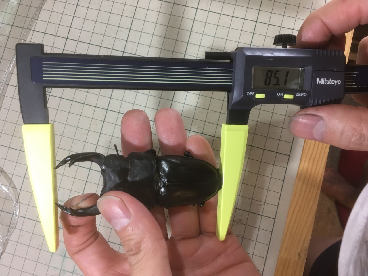 ついにGET！ミツトヨのデジタルノギス、ロングジョウデジパ