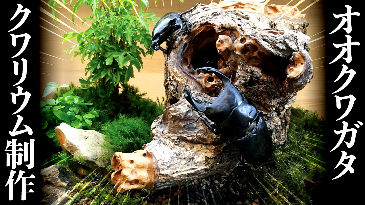 クワガタ自己満ラボ