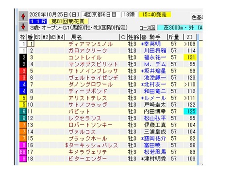菊花賞ZI