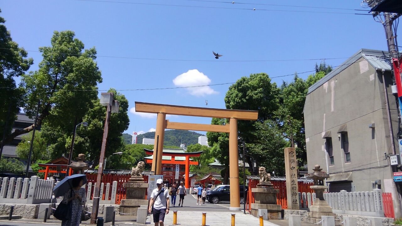生田神社 路地裏の猫の一人歩き 生田神社 路地裏の猫の一人歩き