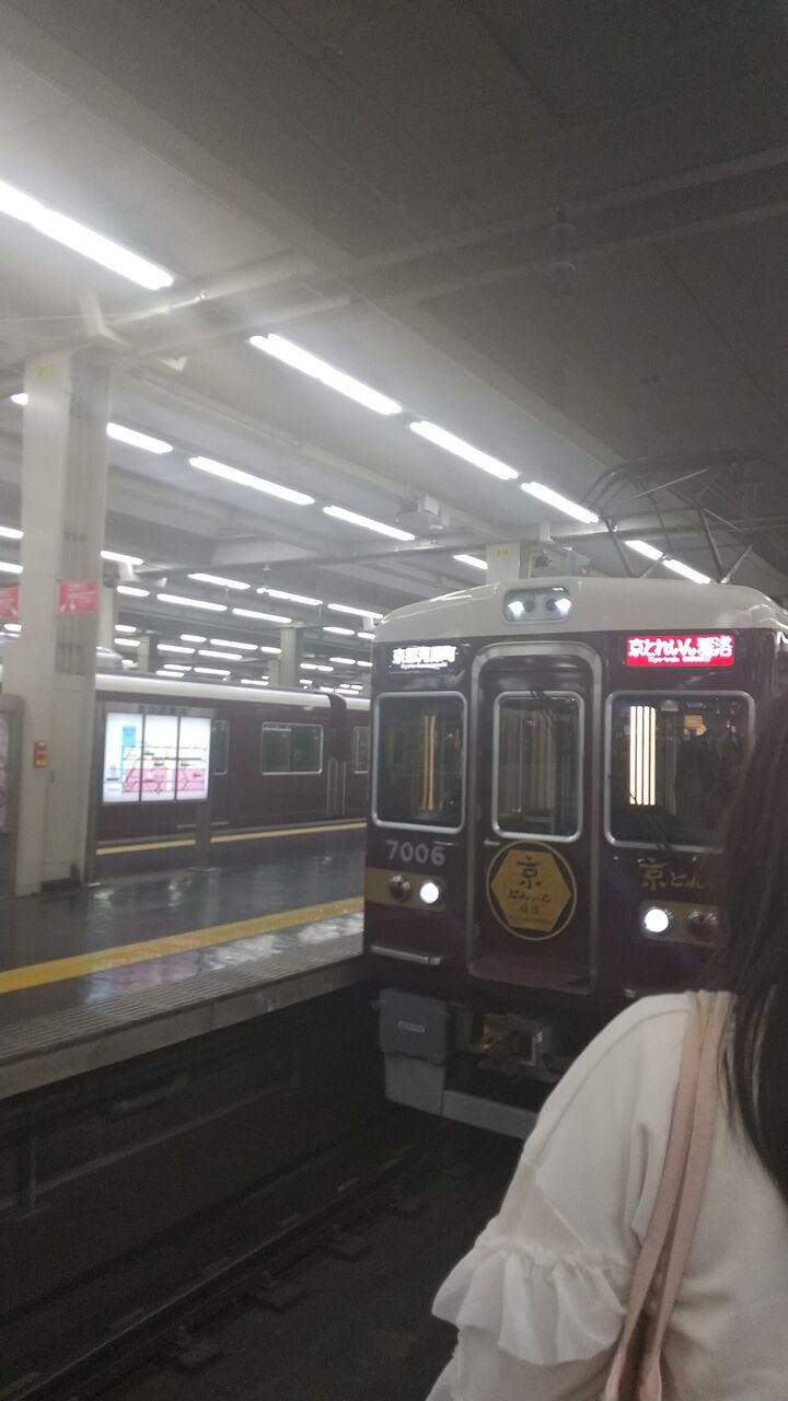 京都花見旅 阪急雅洛とわら天神 路地裏の猫の一人歩き 京都花見旅 阪急雅洛とわら天神 路地裏の猫の一人歩き