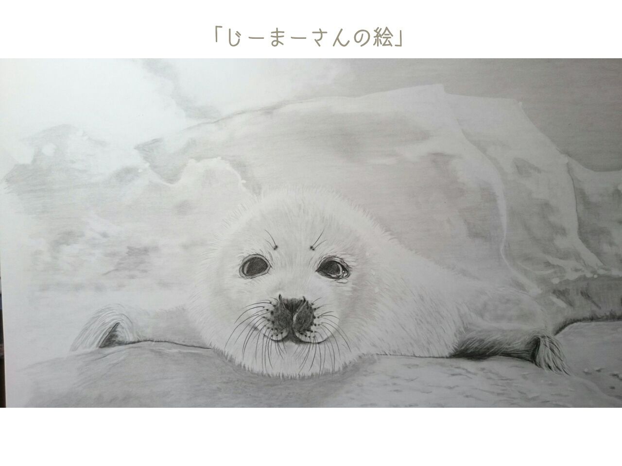 希望 タテゴトアザラシ完成 じーまーさんの鉛筆