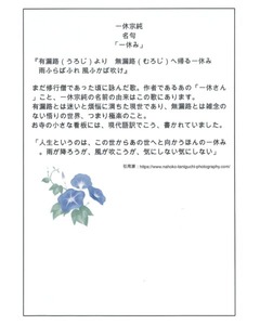 0f5ce2ec6138cf983c6008a5c8de3430-480x600