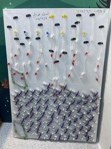 35b770cea64393efaea53bb2dfb7cdf8-450x600