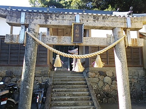 白鬚神社 一の鳥居