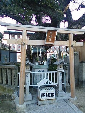 石津太神社末社 白蛇社