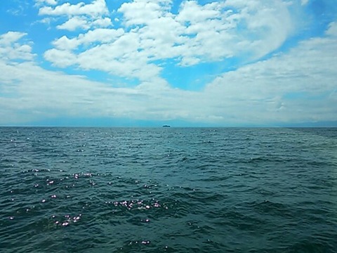 竹生島遠望