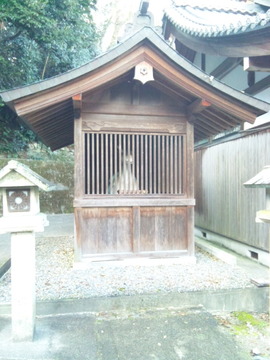 大津大神宮 神馬舎