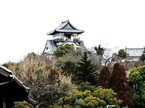 17犬山城