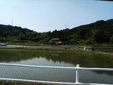 田