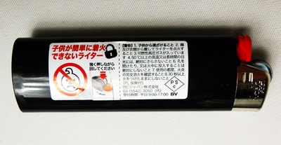 DSCN4330