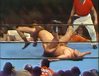 inokikobayashi2