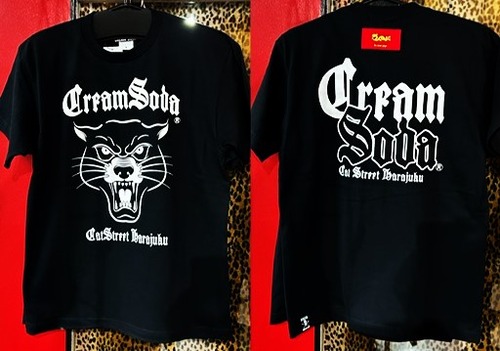 2023.2.11����