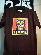TEMMYE