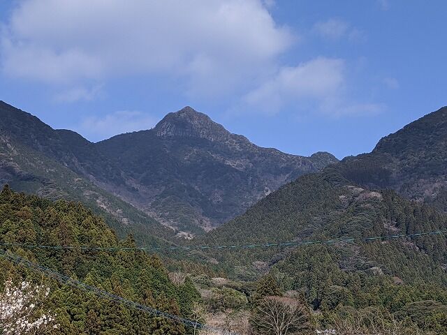 IMG_20200202_143029