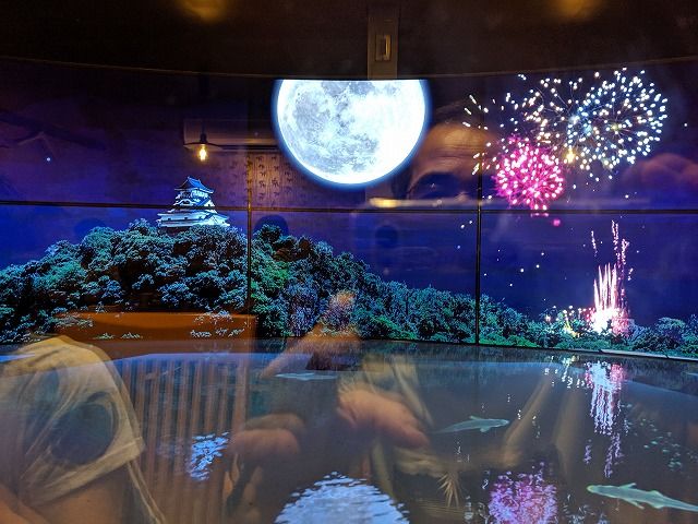 MVIMG_20190816_201727