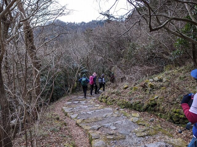 IMG_20200201_122129