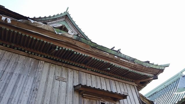 DJI_0375