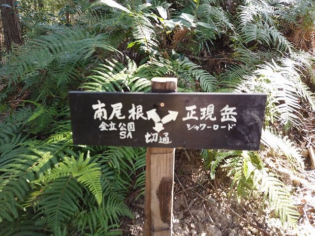 DJI_0192