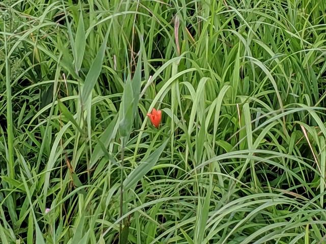 IMG_20190729_080227