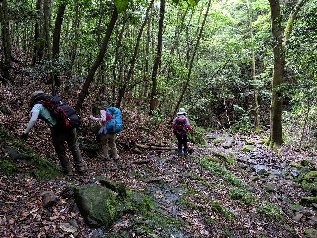 MVIMG_20190601_132028