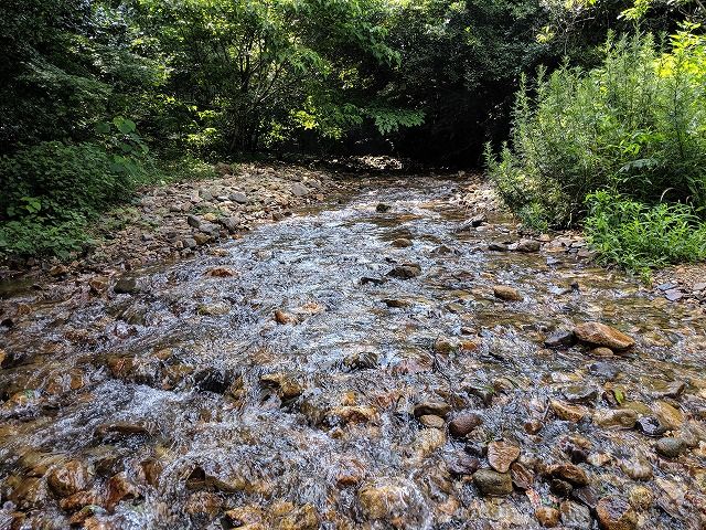 MVIMG_20190706_091103