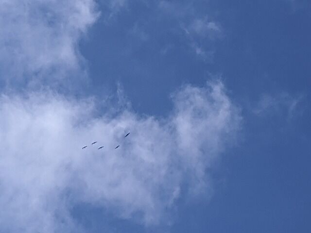 IMG_20200219_130236