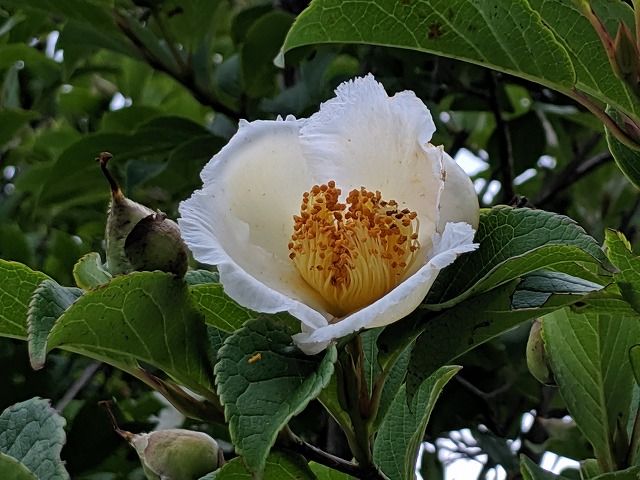 IMG_20190729_081559