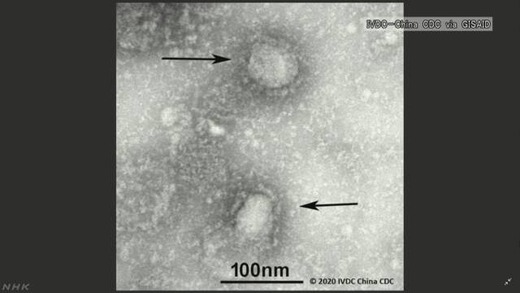 K10012260881_2001271847_2001271920_01_02