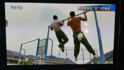 悲報 筋トレさん プロテインもダンベルもバーベルも不要だった 画像あり マラソン速報