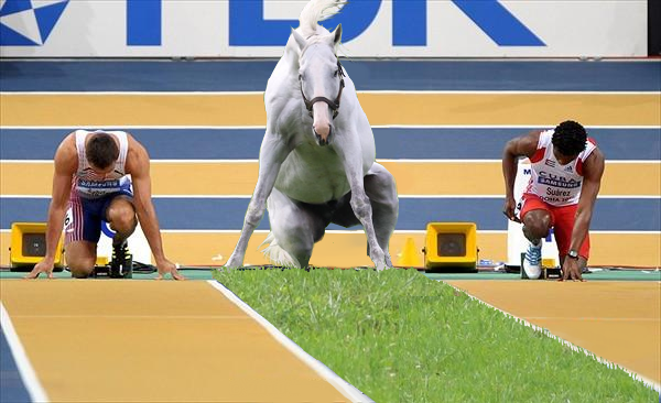 画像 ゴールドシップ 陸上選手に転向 マラソン速報 画像 ゴールドシップ 陸上選手に転向 マラソン速報