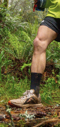 B1459ECF-4409-4A19-AF5F-6EE0DC0E194D