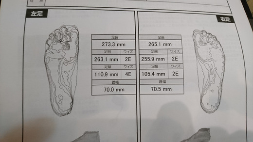 276528